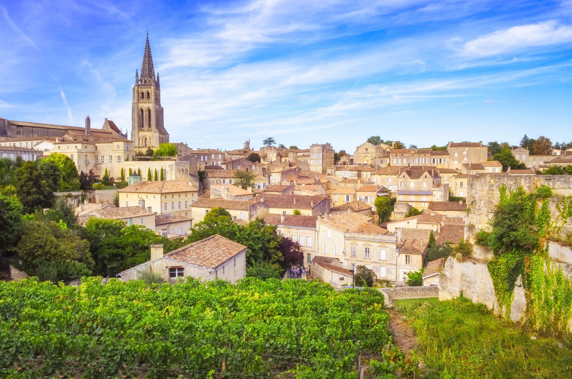 saint emilion bordeaux gallery.jpeg